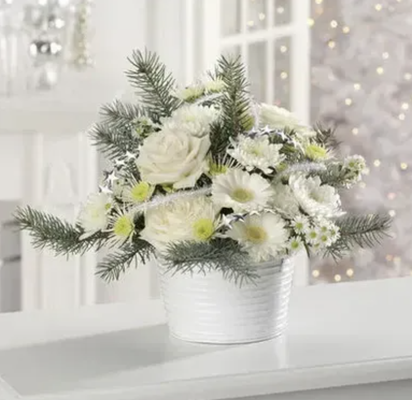 Shop Our Holiday Collection! - Shop Our Holiday Collection! Shop Our Holiday Collection! - Shop Our Holiday Collection!