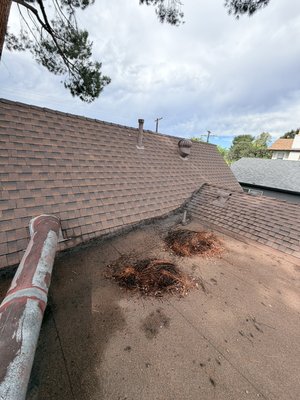 Premium package for roof and gutter cleaning - You want to clean and your roof and gutters at the same time I totally recommend you asked for this package that provides cleaning your roof and gutters including your downspouts.