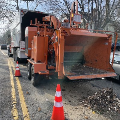 Some recent work in the Bronx - This customer had a free trees that needed to be removed and trimmed. We came by, hit it hard, and left without a trace! Some recent work in the Bronx - This customer had a free trees that needed to be removed and trimmed. We came by, hit it hard, and left without a trace!