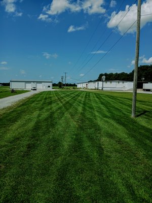 lawn care - This is the type of quality you get with us as your lawn care provider. lawn care - This is the type of quality you get with us as your lawn care provider.