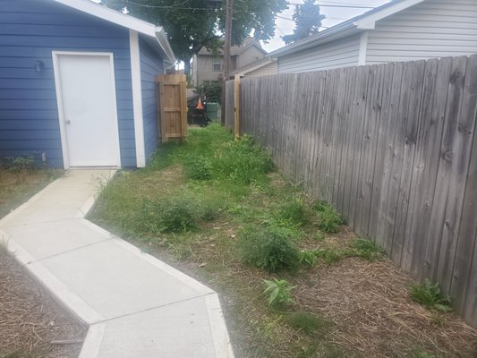 Back yard remodel - We did this complete backyard renovation, removing all the weeds, applying a layer of topsoil to level the lawn area and provide an ideal environment for the new sod roots, and installed sod to give the homeowners instant grass coverage. Back yard remodel - We did this complete backyard renovation, removing all the weeds, applying a layer of topsoil to level the lawn area and provide an ideal environment for the new sod roots, and installed sod to give the homeowners instant grass coverage.