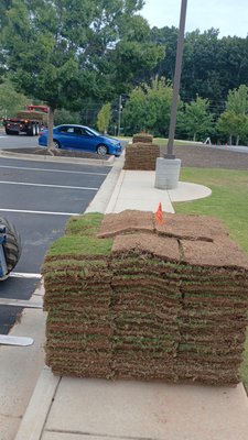 Sod Delivery - Sod Delivery by Mountain High Landscape Supply
Mountain High Landscape Supply recently completed a sod delivery using their specialized equipment. The delivery was made with their flatbed truck, which is ideal for transporting large, heavy pallets of sod. Once on-site, the driver efficiently unloaded the pallets using a truck-mounted forklift. This method allowed for precise placement of the sod, minimizing the need for the customer to move the heavy rolls themselves. The process was fast and ensured the sod was delivered in excellent condition, ready for installation. 🚚 Sod Delivery - Sod Delivery by Mountain High Landscape Supply
Mountain High Landscape Supply recently completed a sod delivery using their specialized equipment. The delivery was made with their flatbed truck, which is ideal for transporting large, heavy pallets of sod. Once on-site, the driver efficiently unloaded the pallets using a truck-mounted forklift. This method allowed for precise placement of the sod, minimizing the need for the customer to move the heavy rolls themselves. The process was fast and ensured the sod was delivered in excellent condition, ready for installation. 🚚