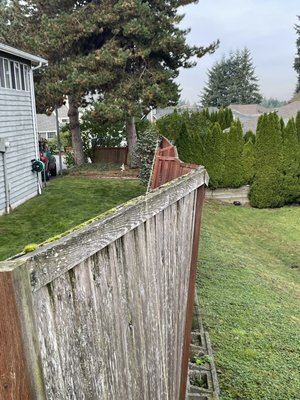 El fence fue removido e instalación de nuevo fence, también se instaló nuevos postes - Todo el fence fue removido de la parte de atrás de la casa y de los lados de la casa. ya que estaba muy deteriorado y se estaba desbordando el terreno, tuvimos que remover los postes e instalar nuevos y nos cercioramos que todo quedara asegurado, El fence fue removido e instalación de nuevo fence, también se instaló nuevos postes - Todo el fence fue removido de la parte de atrás de la casa y de los lados de la casa. ya que estaba muy deteriorado y se estaba desbordando el terreno, tuvimos que remover los postes e instalar nuevos y nos cercioramos que todo quedara asegurado,