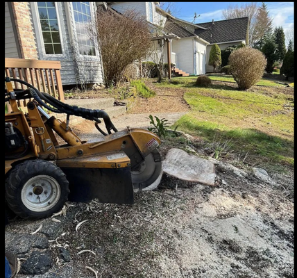 Stump Grinding Services - Open Up Your Outdoor Play Area With Our Stump Grinding
Keep your property safe for the kids to play with expert stump grinding services from JMV Professional Tree Service LLC.
Whether you have a stump that's been on your property for years or we recently removed a tree or trees from your property, our top-of-the-line equipment will grind the stump down as low as possible to make your yard level and safe.
We are a licensed, bonded and insured business. We will try to meet or beat any qualified written estimate. For a FREE estimate, call (425) 777-6922. Se habla español. Stump Grinding Services - Open Up Your Outdoor Play Area With Our Stump Grinding
Keep your property safe for the kids to play with expert stump grinding services from JMV Professional Tree Service LLC.
Whether you have a stump that's been on your property for years or we recently removed a tree or trees from your property, our top-of-the-line equipment will grind the stump down as low as possible to make your yard level and safe.
We are a licensed, bonded and insured business. We will try to meet or beat any qualified written estimate. For a FREE estimate, call (425) 777-6922. Se habla español.