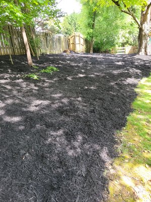 laying mulch - removel of debris and putting down mulch laying mulch - removel of debris and putting down mulch