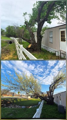 storm damage limb reduction over structure - storm damage had laid part of this tree over onto a fence