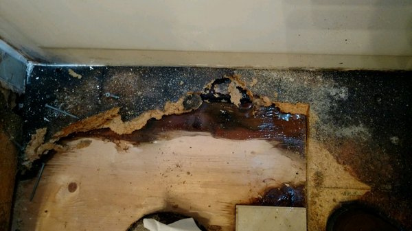 Floor Mold - The was a mold issue in the bathroom floor. We removed all mold and reinstalled new flooring. Floor Mold - The was a mold issue in the bathroom floor. We removed all mold and reinstalled new flooring.