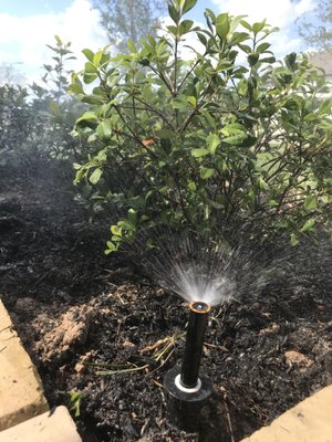 Irrigation Installation Experts - We offer all irrigation and sprinkler installation needs - call today and we will deliver our expertise and attention to detail to set-up the sprinkler system you need. Irrigation Installation Experts - We offer all irrigation and sprinkler installation needs - call today and we will deliver our expertise and attention to detail to set-up the sprinkler system you need.