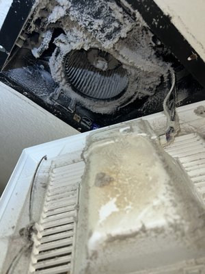Exhaust Fan Cleaning - Benefits of Exhaust Cleaning: Reduces Allergens - Improves Air Quality - Removes Mold - Clears Out Bad Odors Exhaust Fan Cleaning - Benefits of Exhaust Cleaning: Reduces Allergens - Improves Air Quality - Removes Mold - Clears Out Bad Odors