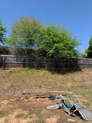Back Yard Trimming - This is a job we did for one of our customers that wanted her trees trimmed up in her back yard. Back Yard Trimming - This is a job we did for one of our customers that wanted her trees trimmed up in her back yard.
