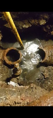 Replace Broken House trap - Replace Broken House trap Replace Broken House trap - Replace Broken House trap