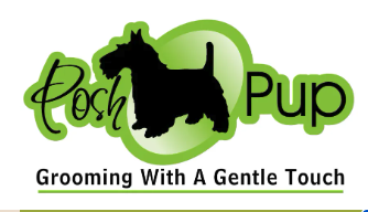 Posh Pup Customer Reviews - Here's what our happy customers are saying... Posh Pup Customer Reviews - Here's what our happy customers are saying...