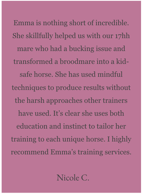 Testimonials - Client Testimonials Testimonials - Client Testimonials