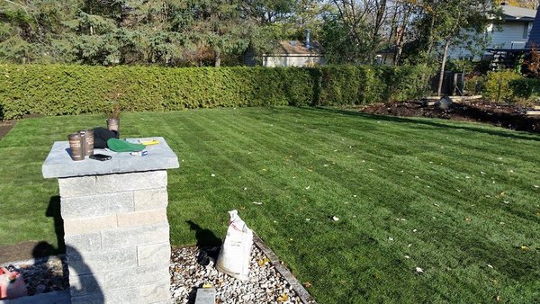 Full backyard Turf Sodding - full backyard sodding, includes full peel out, top soil, levelled for slope and drainage, install of new turf grass. Full backyard Turf Sodding - full backyard sodding, includes full peel out, top soil, levelled for slope and drainage, install of new turf grass.
