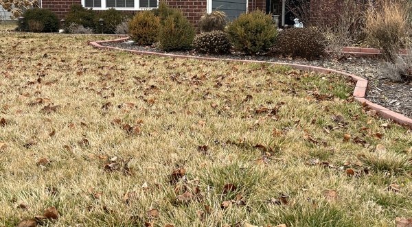 My Yard - I love mowing and taking care of my yard then seeing how it flourishes throughout the year. My Yard - I love mowing and taking care of my yard then seeing how it flourishes throughout the year.