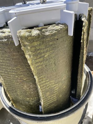 Filter clean post Phosphates treatment - There are organisms that come from plants, dirt, and animals called phosphates. Phosphates are good for algae, it’s a special treatment to get rid of phosphates, it kills the phosphates and sticks to the filter grids. Doing a filter clean after a phosphates treatment is crucial or else algae will continue to regrow in the pool. Filter clean post Phosphates treatment - There are organisms that come from plants, dirt, and animals called phosphates. Phosphates are good for algae, it’s a special treatment to get rid of phosphates, it kills the phosphates and sticks to the filter grids. Doing a filter clean after a phosphates treatment is crucial or else algae will continue to regrow in the pool.
