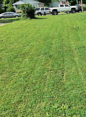 Free Estimates - At Top Shotz Landscaping we offer free estimates. Please call us today for yours! Free Estimates - At Top Shotz Landscaping we offer free estimates. Please call us today for yours!