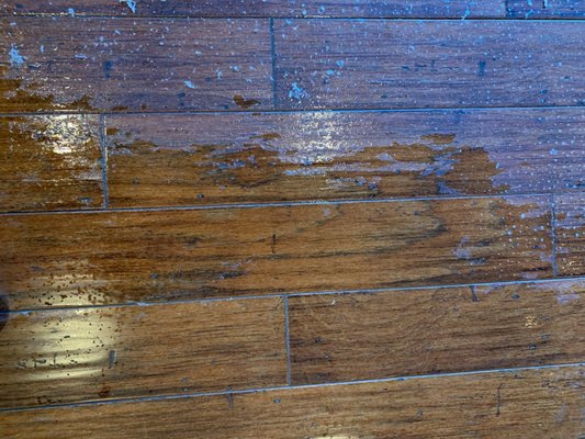 Hardwood Floor Wax Removal in Nashville, TN - Do you clean your hardwood floor with mop'n'glo, rejuvenate or even Bona polish? If so, you've likely noticed your wood floor looking dull, grey and scratched up. This is very likely polish build-up that requires a heavy floor stripping to return your wood floor back to its original finish. EverClean Nashville offers hardwood wax removal to strip away that old, soft polish so you can enjoy your original hardwood floor luster again. Call 615-Dry-Fast or get a quote and schedule online. 

EverClean Nashville
3926 Dickerson Pike #207
Nashvillle, TN 37207
Phone: (615) 379-3278 
https://evercleantn.com/