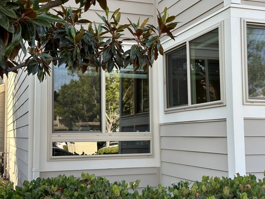 Window Cleaning - Transform the way you see the world from inside your home with Pure Panel Detail's Window Cleaning service. Our professional team is dedicated to bringing clarity and brilliance to your living spaces. Using industry-leading techniques and eco-friendly solutions, we ensure streak-free, crystal-clear windows that not only enhance the aesthetics of your home but also invite more natural light. Trust Pure Panel Detail for a transformative window cleaning experience that goes beyond the surface. Window Cleaning - Transform the way you see the world from inside your home with Pure Panel Detail's Window Cleaning service. Our professional team is dedicated to bringing clarity and brilliance to your living spaces. Using industry-leading techniques and eco-friendly solutions, we ensure streak-free, crystal-clear windows that not only enhance the aesthetics of your home but also invite more natural light. Trust Pure Panel Detail for a transformative window cleaning experience that goes beyond the surface.