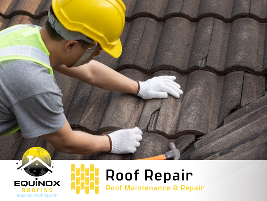 Roof Repair | Maintenance & Repair - Roof Repair | Maintenance & Repair Roof Repair | Maintenance & Repair - Roof Repair | Maintenance & Repair