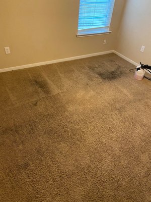 Carpet Restoration - This carpet was clearly in bad shape, but the fibers themselves weren't as worn as the customer thought! We were able to bring this carpet back to life and make sure our customer was very satisfied with our work. Carpet Restoration - This carpet was clearly in bad shape, but the fibers themselves weren't as worn as the customer thought! We were able to bring this carpet back to life and make sure our customer was very satisfied with our work.