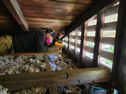 Rodent Exclusion - This old bungalow style home in Fresno, California had numerous entry points that rodents were getting inside the home. After sealing up all the entryways and removing the rodents inside our customer has had no rodent issues.