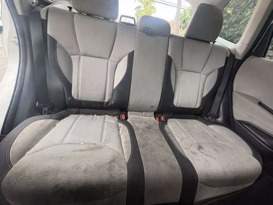 Mildew and carpet shampoo steam cleaning - Mildew and food and dirt Mildew and carpet shampoo steam cleaning - Mildew and food and dirt