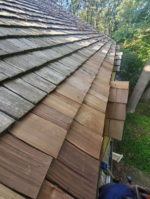 Cedar Repair - Sometimes cedar doesn’t need to be replaced. We can repair cedar too! Cedar Repair - Sometimes cedar doesn’t need to be replaced. We can repair cedar too!
