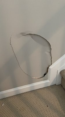 Drywall repair and paint - Drywall at bottom of stairs was damaged but a quick fix for AMR. Client was happy with outcome.