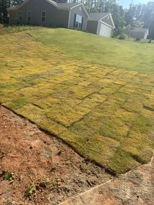 Sod installation - Sod installation jobs, grading and top soil work..