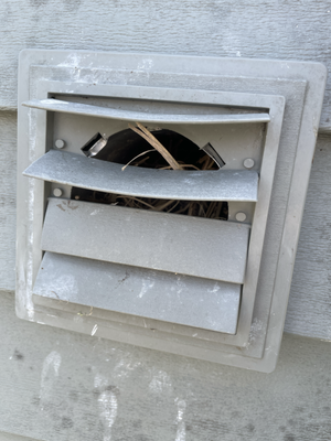 Birds nesting in a dryer vent - This homeowner contacted us because he found that birds were nesting in his dryer vent. We responded immediately and after assessing the situation and providing recommendations on how best to clean the homeowner was completely satisfied with the overall results of our service. Birds nesting in a dryer vent - This homeowner contacted us because he found that birds were nesting in his dryer vent. We responded immediately and after assessing the situation and providing recommendations on how best to clean the homeowner was completely satisfied with the overall results of our service.