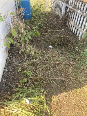 Yard cleanup - Trees removed, weeds and debris removed, hauled away. Yard and flower beds cleaned as per clients specifications. Yard cleanup - Trees removed, weeds and debris removed, hauled away. Yard and flower beds cleaned as per clients specifications.
