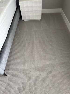 Stan Removal 2024 - An unfortunate spill led to an opportunity for our lead technician to show how professional carpet cleaning can restore even the brightest spot back to what it was before.