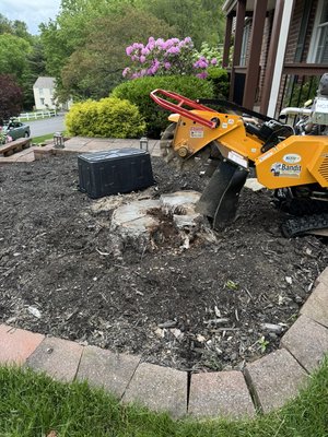 Stump grinding - I was hired to remove this stump from a flower garden here you can see the before and after