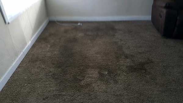Floor cleaning - Floors are cleaned and ready for use. Floor cleaning - Floors are cleaned and ready for use.