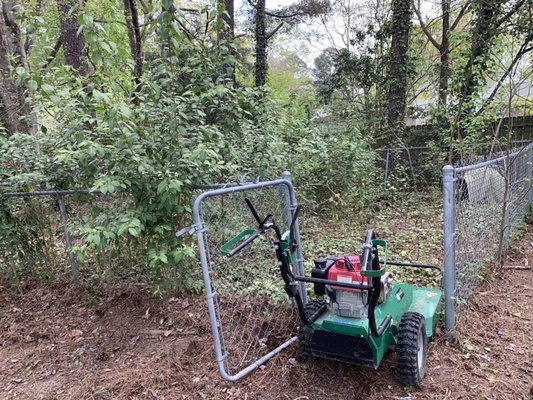 Bush hogging a dog pin in Cary, NC through a 30” gate. - Brush cutting a dog pin in Cary, NC through a 30” gate🐾 . After we finished, we sprayed the roots and ivy with brush killer which is a systemic herbicide to kill the roots and prevent brush and weeds from growing back. Bush hogging a dog pin in Cary, NC through a 30” gate. - Brush cutting a dog pin in Cary, NC through a 30” gate🐾 . After we finished, we sprayed the roots and ivy with brush killer which is a systemic herbicide to kill the roots and prevent brush and weeds from growing back.