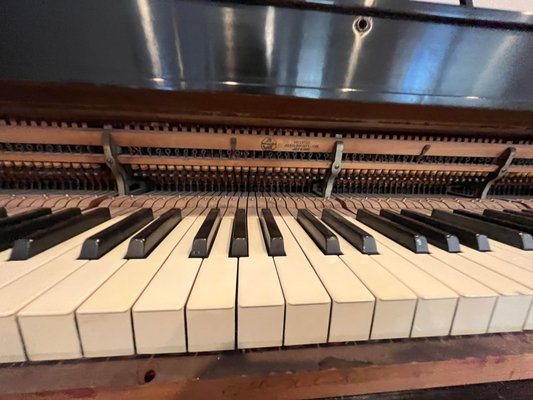 Piano restoration - This piano normally would have been rendered expired by a lesser experienced tuner. However I was fortunate enough to have learned the art of piano restoration, therefore, this old piano was brought back to life. Here are some photos of the process. Piano restoration - This piano normally would have been rendered expired by a lesser experienced tuner. However I was fortunate enough to have learned the art of piano restoration, therefore, this old piano was brought back to life. Here are some photos of the process.
