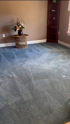 We were able to successfully remove all visible stains from the carpet using a deep professional cleaning process. - We were able to successfully remove all visible stains from the carpet using a deep professional cleaning process. The carpet has been restored to a like-new condition, with improved color, texture, and freshness.