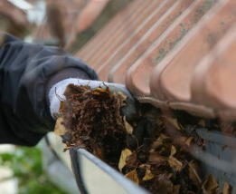 Rain Gutter Cleaning - Unkempt rain gutters are worse than no gutters at all. Damage to the roof-line, erosion and pooling, subsidence, all things to look forward to when your rain gutters aren't working as they should. Don't let out-of-control water-flows create bigger expenses. Call Gutter Tymer for a free estimate and schedule regular rain gutter cleaning services throughout the year. Rain Gutter Cleaning - Unkempt rain gutters are worse than no gutters at all. Damage to the roof-line, erosion and pooling, subsidence, all things to look forward to when your rain gutters aren't working as they should. Don't let out-of-control water-flows create bigger expenses. Call Gutter Tymer for a free estimate and schedule regular rain gutter cleaning services throughout the year.