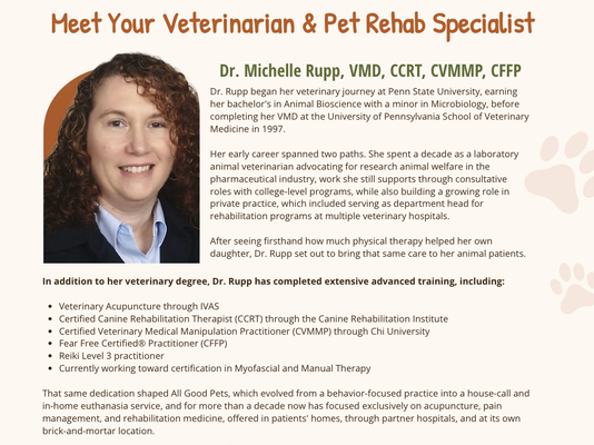 Meet our team! - Dr. Michelle Rupp, VMD, CCRT, CVMMP, CFFP


Dr. Rupp began her veterinary journey at Penn State University, earning her bachelor's in Animal Bioscience with a minor in Microbiology, before completing her VMD at the University of Pennsylvania School of Veterinary Medicine in 1997.

​

Her early career spanned two paths. She spent a decade as a laboratory animal veterinarian advocating for research animal welfare in the pharmaceutical industry, work she still supports through consultative roles with college-level programs, while also building a growing role in private practice, which included serving as department head for rehabilitation programs at multiple veterinary hospitals.

​

After seeing firsthand how much physical therapy helped her own daughter, Dr. Rupp set out to bring that same care to her animal patients.

In addition to her veterinary degree, Dr. Rupp has completed extensive advanced training, including:

​

Veterinary Acupuncture through IVAS

Certified Canine Rehabilitation Therapist (CCRT) through the Canine Rehabilitation Institute

Certified Veterinary Medical Manipulation Practitioner (CVMMP) through Chi University

Fear Free Certified® Practitioner (CFFP)

Reiki Level 3 practitioner

Currently working toward certification in Myofascial and Manual Therapy

​

That same dedication shaped All Good Pets, which evolved from a behavior-focused practice into a house-call and in-home euthanasia service, and for more than a decade now has focused exclusively on acupuncture, pain management, and rehabilitation medicine, offered in patients' homes, through partner hospitals, and at its own brick-and-mortar location.