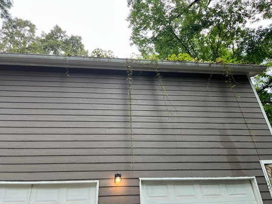 Deep Gutter Cleaning - These gutters hadn’t been cleaned in years. There was roots, dirt, rocks, and softballs in the gutters. Most companies charge extra for deep gutter clean outs but not at NexGen! We clean all our gutters the same by getting on the roof, using our hands to remove anything large and a leaf blower to air flush them and the downspouts to their former glory Deep Gutter Cleaning - These gutters hadn’t been cleaned in years. There was roots, dirt, rocks, and softballs in the gutters. Most companies charge extra for deep gutter clean outs but not at NexGen! We clean all our gutters the same by getting on the roof, using our hands to remove anything large and a leaf blower to air flush them and the downspouts to their former glory