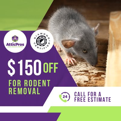 Rodent Removal - Trust in Attic Pros: Your Diamond Certified Experts in Attic Rodent-Proofing, Cleaning, and Decontamination.
When it comes to safeguarding your home from the perils of rodent infestation in your attic, Attic Pros stands as the unwavering choice of experts you can rely upon. A rodent infestation in your attic poses not only immediate concerns but also persistent health risks that endure even after the infestation is eradicated.
Our comprehensive services encompass the complete removal and replacement of compromised insulation, thorough cleanup of the unsanitary aftermath left behind by rodents, meticulous decontamination procedures, and expert rodent-proofing measures to ensure a pest-free future for your attic.
Serving the vibrant communities of Oakland and the expansive Bay Area, Attic Pros remains steadfast in its commitment to maintaining the health and safety of your attic space. Don't hesitate to prioritize your home's well-being. Reach out to us today to request a complimentary estimate, for securing a clean, sanitary, and rodent-free attic environment. Rodent Removal - Trust in Attic Pros: Your Diamond Certified Experts in Attic Rodent-Proofing, Cleaning, and Decontamination.
When it comes to safeguarding your home from the perils of rodent infestation in your attic, Attic Pros stands as the unwavering choice of experts you can rely upon. A rodent infestation in your attic poses not only immediate concerns but also persistent health risks that endure even after the infestation is eradicated.
Our comprehensive services encompass the complete removal and replacement of compromised insulation, thorough cleanup of the unsanitary aftermath left behind by rodents, meticulous decontamination procedures, and expert rodent-proofing measures to ensure a pest-free future for your attic.
Serving the vibrant communities of Oakland and the expansive Bay Area, Attic Pros remains steadfast in its commitment to maintaining the health and safety of your attic space. Don't hesitate to prioritize your home's well-being. Reach out to us today to request a complimentary estimate, for securing a clean, sanitary, and rodent-free attic environment.