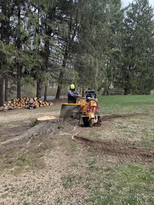 Tree services - We offer a full tree service to include correct pruning techniques, large tree removals with cranes, cabling, stump grinding, firewood deliveries year round! We offer Emergency services