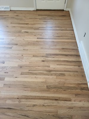 Before and afters - Before:
The flooring showed signs of wear, surface damage, and inconsistencies from previous use or repairs. Areas included visible scratches, finish breakdown, patchwork transitions, or sections requiring restoration to improve overall appearance and continuity.
After:
Our team repaired and refinished the affected areas to restore a smooth, cohesive surface. The flooring now has a more consistent color, sheen, and natural appearance, creating a seamless transition throughout the space and bringing the hardwood back to life. Before and afters - Before:
The flooring showed signs of wear, surface damage, and inconsistencies from previous use or repairs. Areas included visible scratches, finish breakdown, patchwork transitions, or sections requiring restoration to improve overall appearance and continuity.
After:
Our team repaired and refinished the affected areas to restore a smooth, cohesive surface. The flooring now has a more consistent color, sheen, and natural appearance, creating a seamless transition throughout the space and bringing the hardwood back to life.