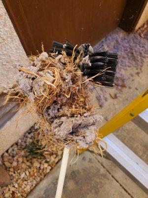 Dryer Vent Cleaning - Have you noticed your dryer taking longer to dry your laundry. Maybe two cycles instead of one. Well it's probably your dryer vent system needing a cleaning. Signs You Require Dryer Vent Cleaning:
*Clothes take longer than the normal 35-40 minutes to dry.
*dryer vent hood flap does not open properly.
*debris appears around the outdoors dryer vent opening.
*you feel excessive heat in the room where the dryer is running.
*lint and debris accumulate around the dryer's lint filter.
What happens if you don't clean your dryer vent?
This is important because if you don't clean it out, it prevents the dryer from being able to exhaust hot air from the dryer, causing the dryer to overheat. Failure to clean the dryer's lint trap is the leading cause of home laundry dryer fires. Dryer Vent Cleaning - Have you noticed your dryer taking longer to dry your laundry. Maybe two cycles instead of one. Well it's probably your dryer vent system needing a cleaning. Signs You Require Dryer Vent Cleaning:
*Clothes take longer than the normal 35-40 minutes to dry.
*dryer vent hood flap does not open properly.
*debris appears around the outdoors dryer vent opening.
*you feel excessive heat in the room where the dryer is running.
*lint and debris accumulate around the dryer's lint filter.
What happens if you don't clean your dryer vent?
This is important because if you don't clean it out, it prevents the dryer from being able to exhaust hot air from the dryer, causing the dryer to overheat. Failure to clean the dryer's lint trap is the leading cause of home laundry dryer fires.