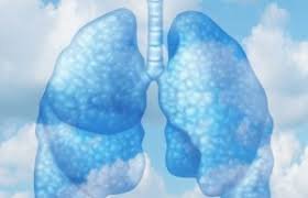 Indoor Air Quality - Indoor air quality is ranked one of the top health factors today. The air inside our homes and offices can be contaminated with mold, germs, and VOCs. Mold is a problem in the Tampa Bay area since our climate is so humid. Spores can travel throughout our home through the air conditioning and ductwork. Germs are also spread around on air currents and can even grow inside the air conditioning system. VOCs are gases that leach out of new furniture, paint, plastics, and construction materials. Each home and family are different, so schedule a free air quality consultation today to learn what steps should be taken in your own home or office. Indoor Air Quality - Indoor air quality is ranked one of the top health factors today. The air inside our homes and offices can be contaminated with mold, germs, and VOCs. Mold is a problem in the Tampa Bay area since our climate is so humid. Spores can travel throughout our home through the air conditioning and ductwork. Germs are also spread around on air currents and can even grow inside the air conditioning system. VOCs are gases that leach out of new furniture, paint, plastics, and construction materials. Each home and family are different, so schedule a free air quality consultation today to learn what steps should be taken in your own home or office.