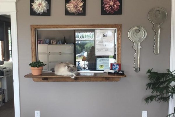 Come See Us & Our Office Cat! - We offer friendly services with a smile. Reach out today for your property management needs! Come See Us & Our Office Cat! - We offer friendly services with a smile. Reach out today for your property management needs!