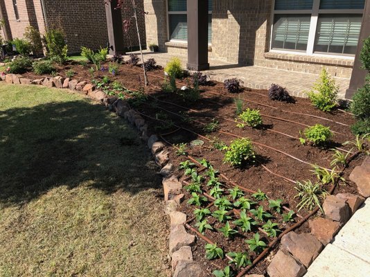 New Drip Zone Installation - Flower bed was extended by homeowner and we installed a brand new drip zone. New Drip Zone Installation - Flower bed was extended by homeowner and we installed a brand new drip zone.