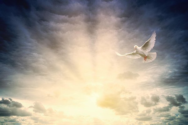 Mediumship 30 minute session - Britani will communicate with people who have passed on or are in a state of what Is called limbo. Using her channeling abilities she calls upon the loved one in mind and ask that they come forth to communicate what is of importance to them.
Mediumship can help loved ones here on earth to understand the process of how someone may have felt as they transitioned.
Mediumship allows her to bridge the gap between the spirit world and ours for a period of time.
Britani can also commune with pets.
Through her medium process she does allow the spirit to speak freely and Is always respectful. Gratitude is given to each spirit that comes forth to help those on earth gain peace and clarity. Mediumship 30 minute session - Britani will communicate with people who have passed on or are in a state of what Is called limbo. Using her channeling abilities she calls upon the loved one in mind and ask that they come forth to communicate what is of importance to them.
Mediumship can help loved ones here on earth to understand the process of how someone may have felt as they transitioned.
Mediumship allows her to bridge the gap between the spirit world and ours for a period of time.
Britani can also commune with pets.
Through her medium process she does allow the spirit to speak freely and Is always respectful. Gratitude is given to each spirit that comes forth to help those on earth gain peace and clarity.