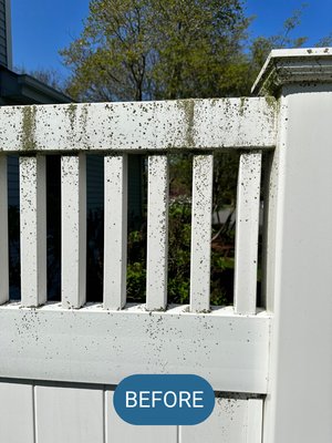 Fence cleaning - Effective Fence Moss Removal Services for a Pristine Outdoor Space

Are you tired of dealing with unsightly moss growth on your fence? Look no further! At POWER CLEANERS CORP. we specialize in providing professional and effective fence moss removal services to help you restore the beauty of your outdoor space.

Moss can quickly take over fences, causing them to appear dull, discolored, and unattractive. Not only does moss impact the aesthetic appeal of your property, but it can also compromise the integrity of your fence over time if left unattended. Our dedicated team of experts is here to help you tackle this problem efficiently and ensure a moss-free fence.